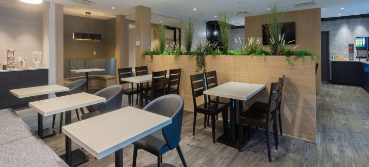 Microtel Inn & Suites by Wyndham Ladysmith Oyster Bay图片