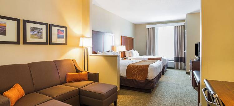 特温斯堡舒适套房酒店(Comfort Suites)图片