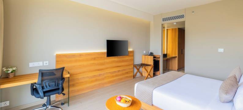 恩瑞斯内穆奇酒店(Enrise By Sayaji Neemuch)图片