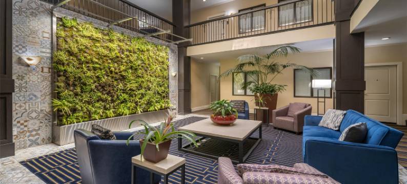 棕榈阁贝斯特韦斯特优质酒店(Best Western Plus Palm Court Hotel)图片