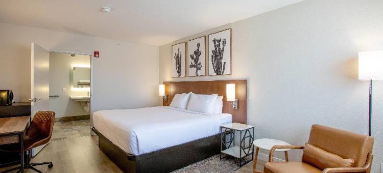 塞多纳科科佩利旅馆，璀蔓臻选温德姆(Kokopelli Inn Sedona, Trademark Collection by Wyndham)图片