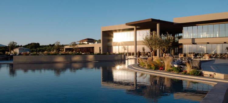 为成人设计的King Jason Zante(King Jason Zante – Designed for Adults)图片