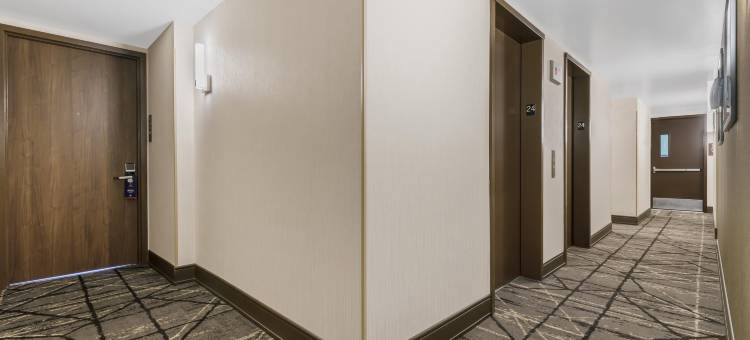 纽约市切尔西希尔顿逸林酒店(DoubleTree by Hilton Hotel New York City - Chelsea)图片