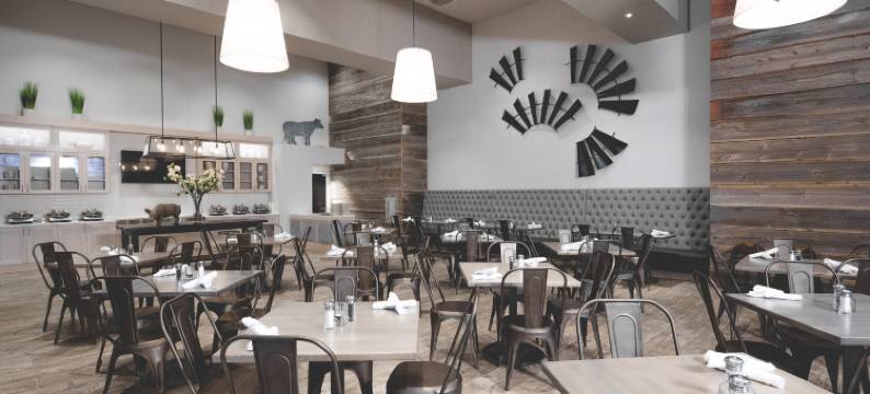 雷诺沃酒店(Hotel Renovo des Moines Urbandale, Tapestry Collection by Hilton)图片