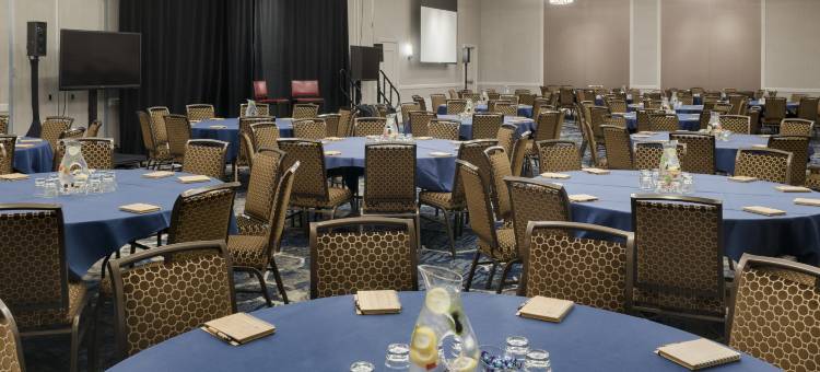 库佩蒂诺朱尼伯格芮希尔顿精选酒店(Juniper Hotel Cupertino, Curio Collection by Hilton)图片