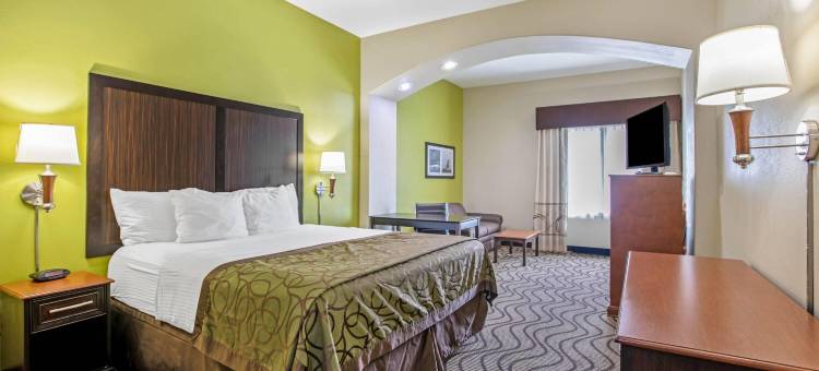 科珀斯克里斯蒂机场拉昆塔温德姆套房酒店(La Quinta Inn & Suites by Wyndham Corpus Christi Airport)图片