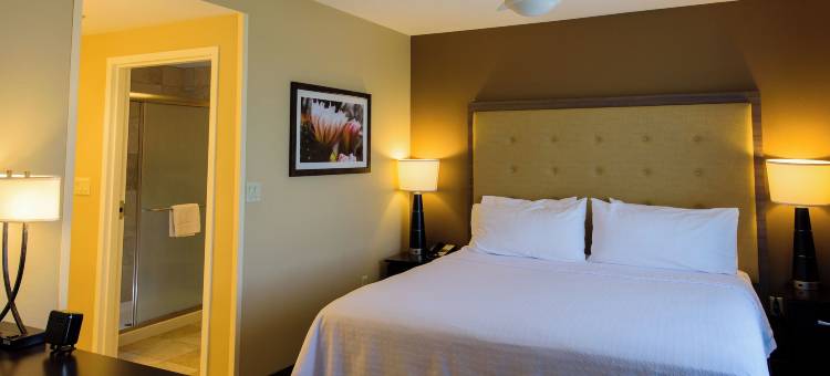 Homewood Suites by Hilton凤凰钱德勒时装中心店(Homewood Suites by Hilton Phoenix Chandler Fashion Center)图片