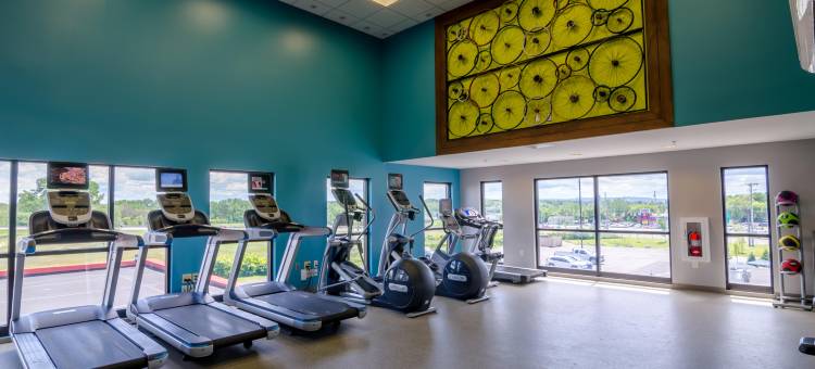 锡拉丘兹机场假日套房酒店(Holiday Inn & Suites - Syracuse/Airport)图片