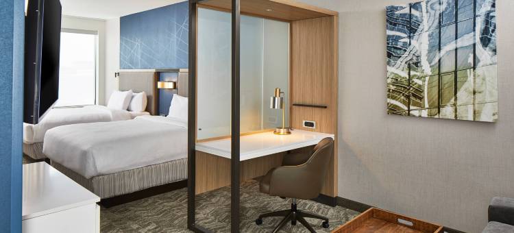 哥伦布/都柏林SpringHill Suites酒店(SpringHill Suites Columbus Dublin)图片