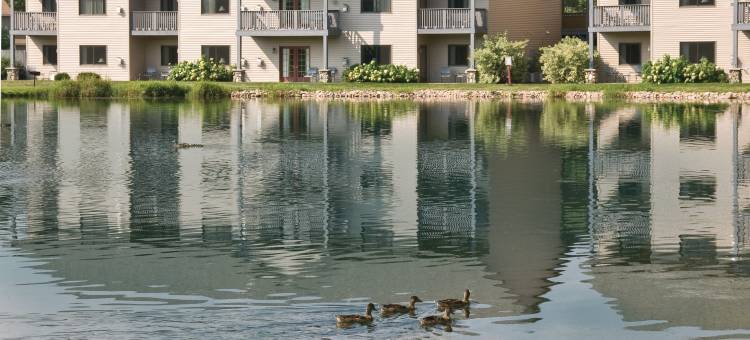 塔玛拉克温德姆度假会(Club Wyndham Tamarack)图片