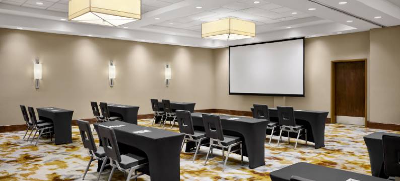 达拉斯理查森希尔顿花园酒店(Hilton Garden Inn Dallas/Richardson)图片