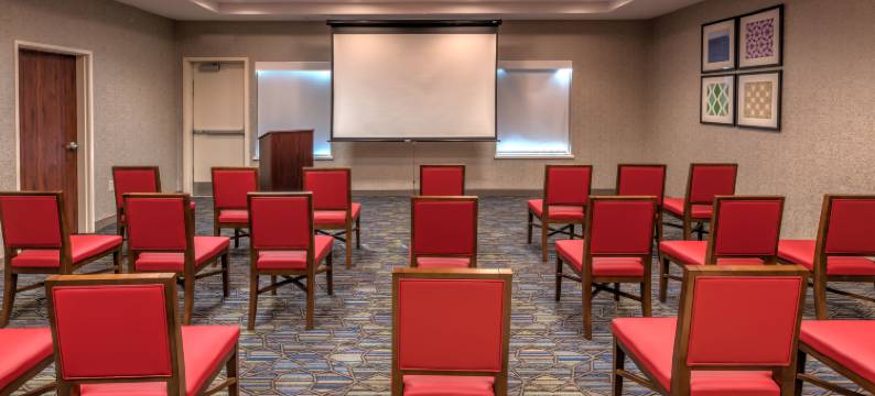 智选假日套房酒店明登(Holiday Inn Express & Suites MINDEN by IHG)图片