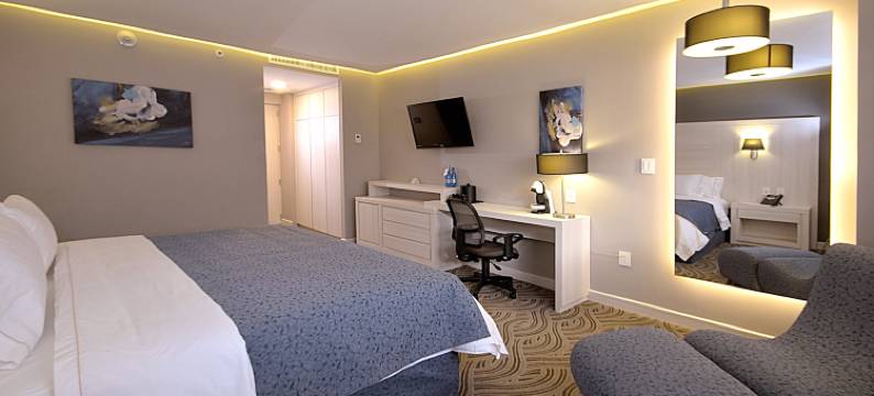 Holiday Inn Express PACHUCA by IHG图片