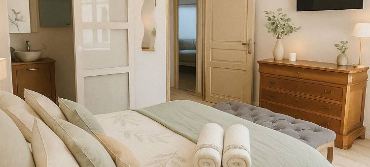 巴亚迪尼酒店(La Bayardine)图片