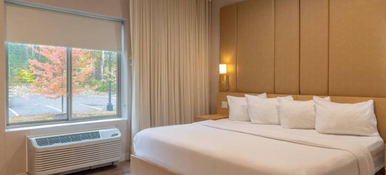 白山钱德勒酒店-阿桑德连锁酒店会员(The Chandler at White Mountains, an Ascend Hotel Collection Membe)图片