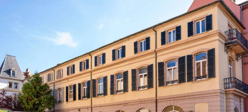 宜必思尚品科尔玛中心酒店(Ibis Styles Colmar Centre)图片