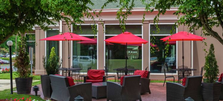 夏洛特派恩维尔希尔顿花园旅馆(Hilton Garden Inn Charlotte Pineville)图片