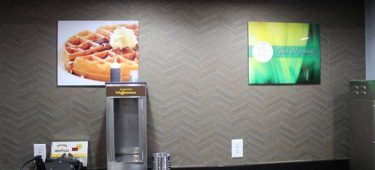 大学区凯艺套房酒店(Quality Inn & Suites University Area)图片