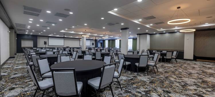 Crowne Plaza 休斯顿广场区(Crowne Plaza HOUSTON GALLERIA AREA by IHG)图片