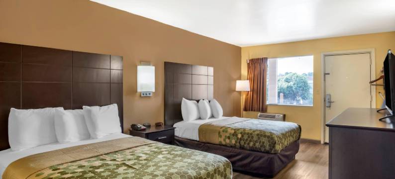 伊斯顿 50 号伊克诺旅馆(Econo Lodge Easton Route 50)图片