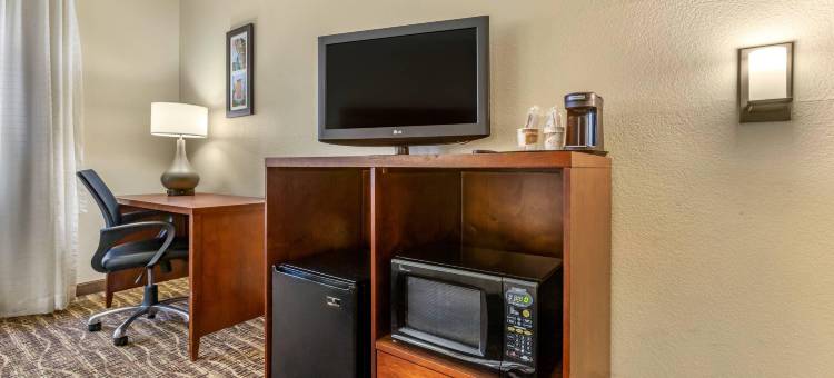 凤凰城北/鹿谷舒适套房酒店(Comfort Inn & Suites Phoenix North - Deer Valley)图片