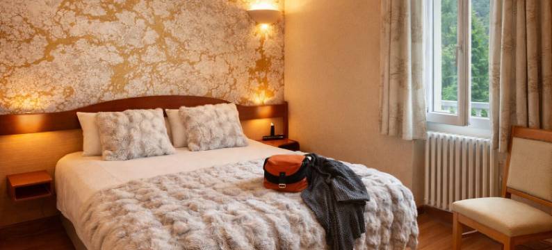 洛吉斯湖泊酒店及餐厅(Logis Hôtel & Restaurant des Lacs)图片