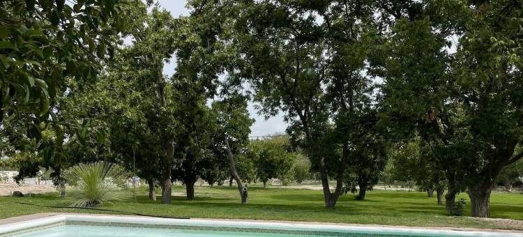 拉斯普登西亚纳斯葡萄酒酒店(Las Pudencianas Hotel Vitivinicola)图片