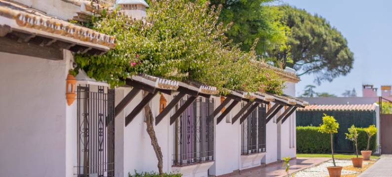 Bluesea El Cortijo图片