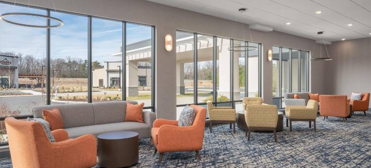 希尔顿里士满切斯特欢朋酒店(Hampton Inn by Hilton Richmond Chester)图片