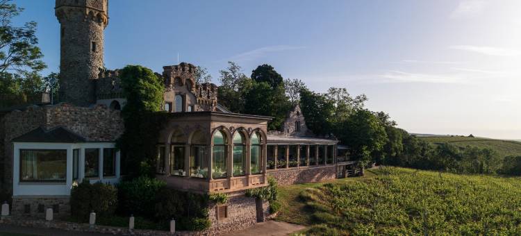 施瓦岑斯坦堡Relais & Châteaux酒店(Relais & Châteaux Hotel Burg Schwarzenstein)图片