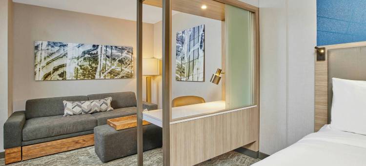 芝加哥唐人街 SpringHill Suites 酒店(SpringHill Suites Chicago Chinatown)图片