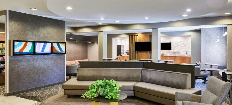 凤凰城市中心万豪SpringHill酒店(SpringHill Suites Phoenix Downtown)图片