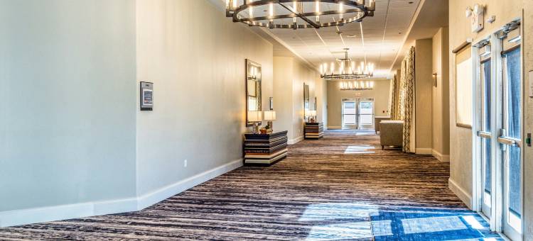 喜来登阿尔伯克基机场酒店(Sheraton Albuquerque Airport Hotel)图片
