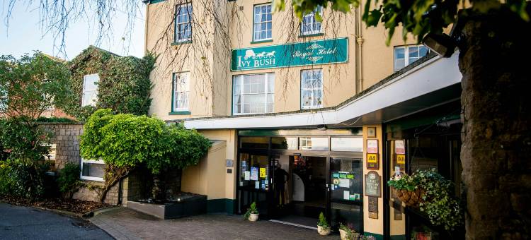康帕斯酒店集团常春藤布什皇家酒店(Ivy Bush Royal Hotel by Compass Hospitality)图片