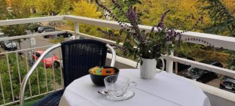 弗莱堡公寓酒店(Apart Hotel Freiburg)图片