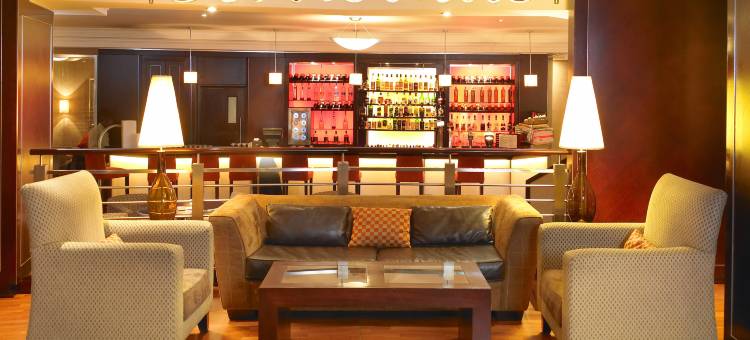 南太阳OR塔波国际机场酒店(Southern Sun or Tambo International Airport)图片