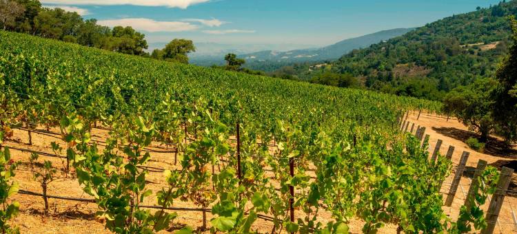 圣克拉拉万豪酒店(Santa Clara Marriott)图片