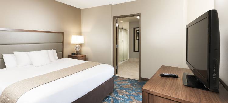 西棕榈滩机场希尔顿逸林酒店及度假村(DoubleTree by Hilton Hotel West Palm Beach Airport)图片