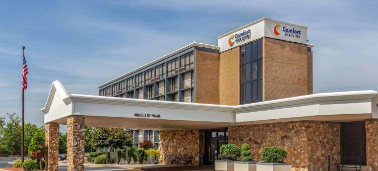 舒适套房酒店-近丹维尔购物中心(Comfort Inn & Suites Near Danville Mall)图片