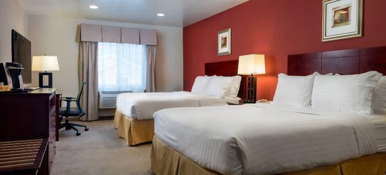 洛杉矶机场霍索恩智选假日套房酒店(Holiday Inn Express Hotel & Suites Los Angeles Airport Hawthorne)图片
