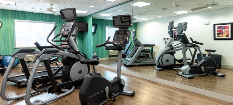 智选假日套房酒店休斯敦南 - 近皮尔兰(Holiday Inn Express & Suites HOUSTON SOUTH - PEARLAND by IHG)图片