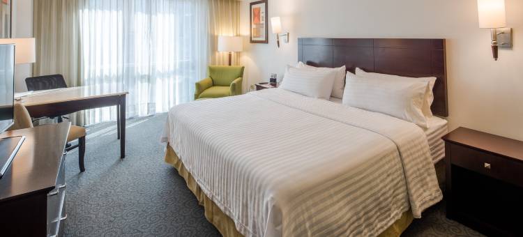 洲际酒店集团蒙特雷山谷假日酒店(Holiday Inn Monterrey Valle)图片