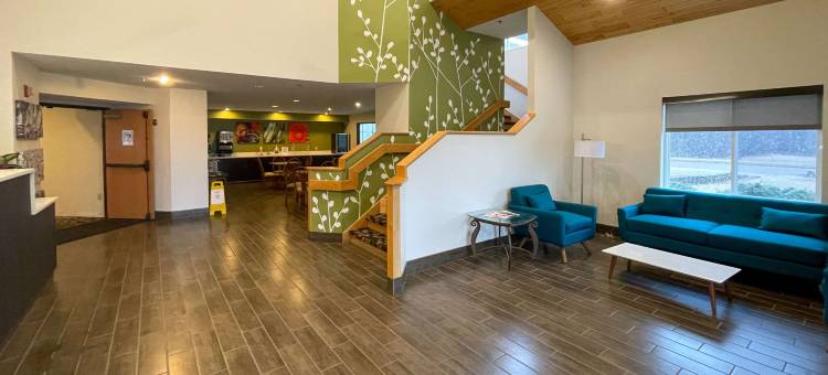 舒眠旅馆(Sleep Inn)图片