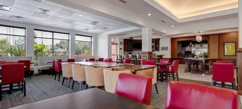 坦帕西北奥尔兹马希尔顿花园酒店(Hilton Garden Inn Tampa Northwest/Oldsmar)图片