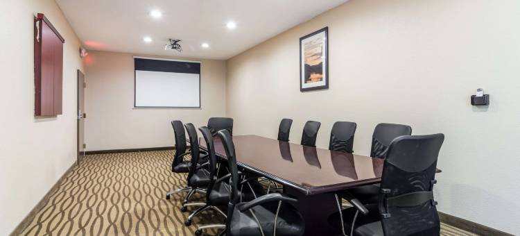 舒适套房酒店(Comfort Suites)图片