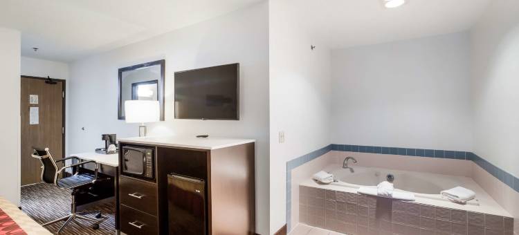 密歇根州夏洛特美洲最佳价值酒店(Americas Best Value Inn Charlotte)图片