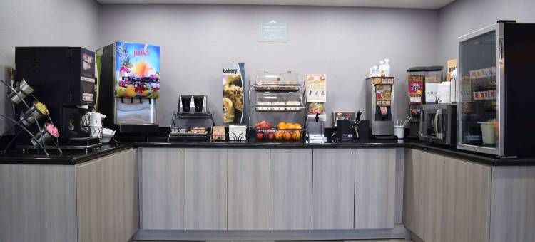 罗利麦客达套房酒店(Microtel Inn & Suites by Wyndham Raleigh)图片