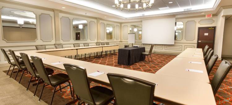 圣路易斯克雷夫科尔德鲁里套房酒店(Drury Plaza Hotel St Louis Creve Coeur)图片