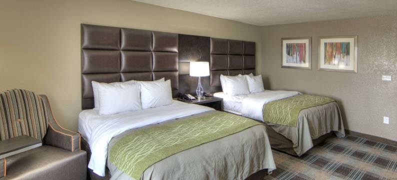 沃斯堡西I-30 NAS JRB的舒适酒店及套房(Comfort Inn & Suites Fort Worth West I-30 Nas JRB)图片