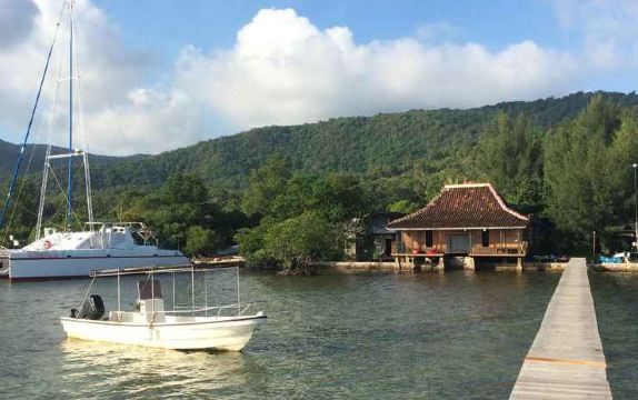 Omah Alchy Cottages Hotel Overview